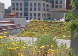 ASLA Green Roof Sustainable Building