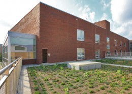 Walker Jones School