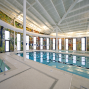 Southern Regional Aquatic Wellness Center Pool multicolored natured mural