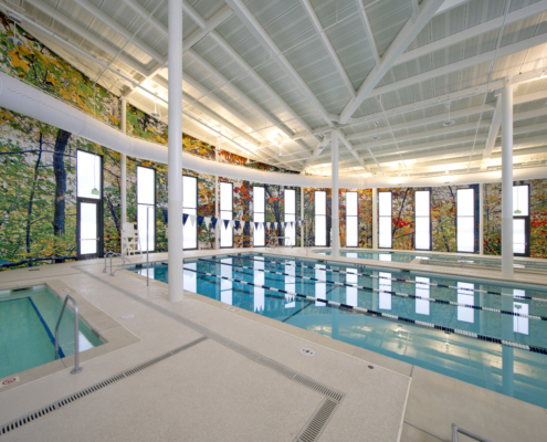 Southern Regional Aquatic Wellness Center Pool multicolored natured mural