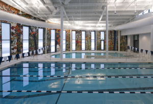 Southern Regional Aquatic Wellness Center Pool multicolored natured mural