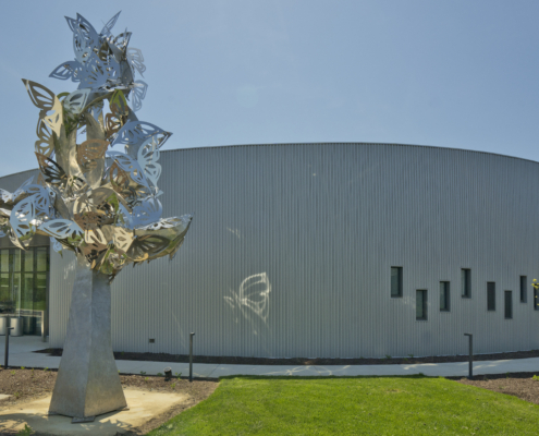 South County Aquatic Center Gray Building Exterior silver metal tree sculpture Forrester Construction