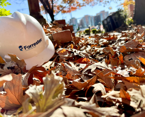Forrester Construction Hardhat in Fall Leaves Autumn Folliage